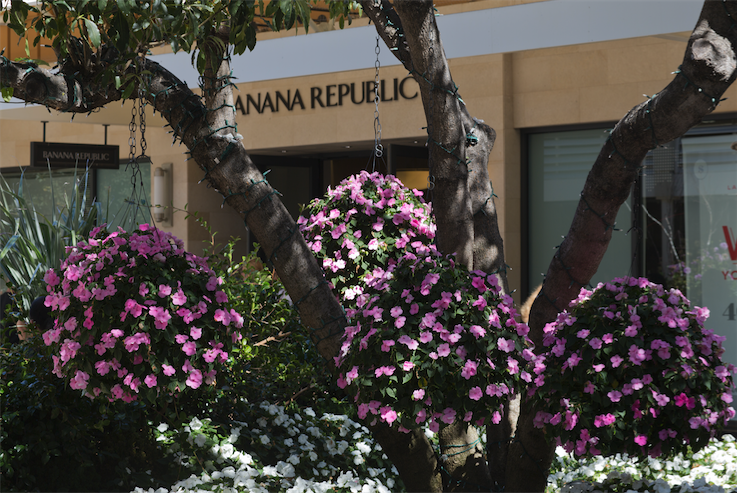 BANANA REPUBLIC - Stanford Shopping Center logo