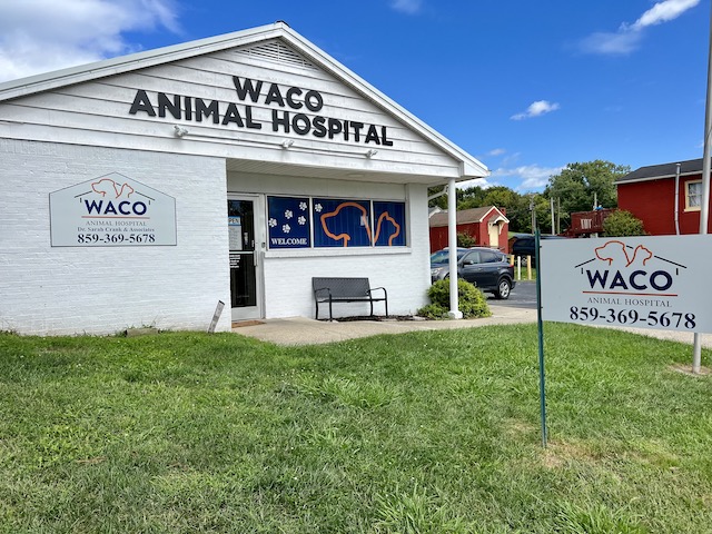 Waco Animal Hospital logo