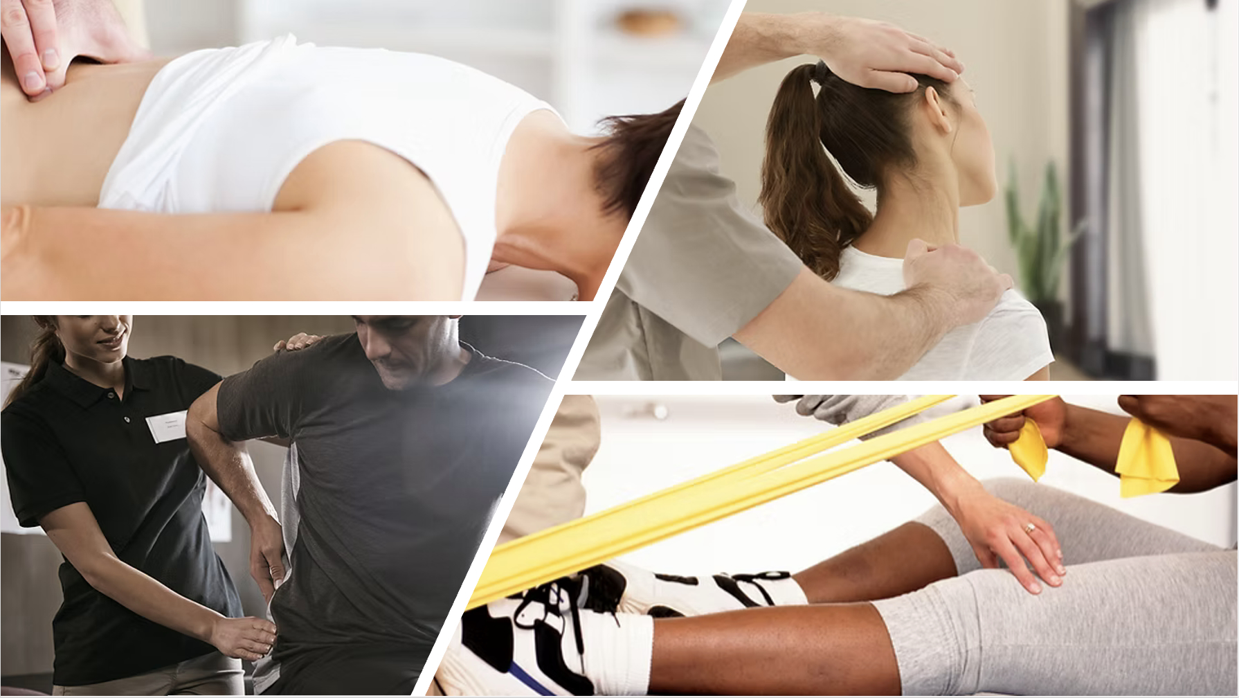 Cassara Chiropractic logo